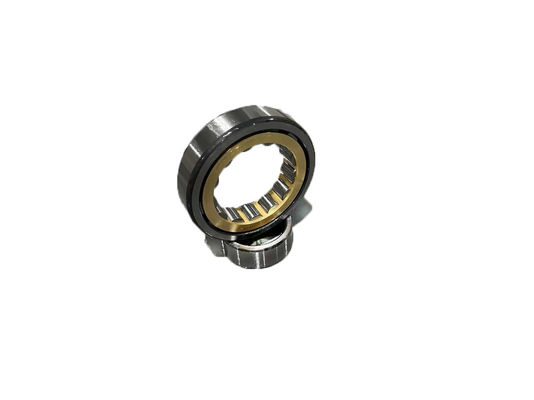 Custom 15x35x11 Full Complement Cylindrical Roller Bearings NU NJ NUP NJ202M