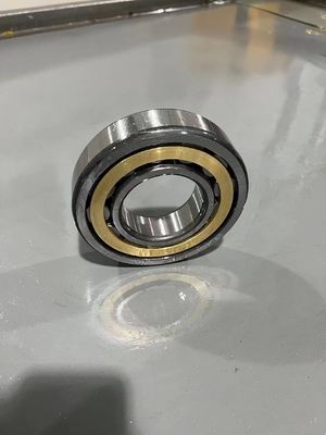 Jatec NJ1016M （P6/P5） Cylindrical Roller Bearing  Gcr15  80×125×22 Single Row Cylindrical Roller Bearing