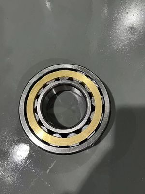 Jatec NJ1019M （P6/P5） Cylindrical Roller Bearing  Gcr15  95×145×24 Single Row Cylindrical Roller Bearing