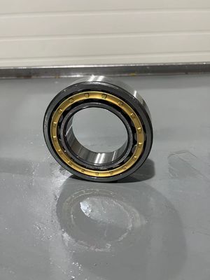 NU1006M Gcr15 Steel Screw Compressor Bearings Double Row 30x55x13